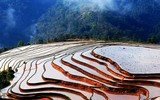 Ruộng bậc thang mùa nước đổ