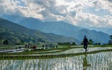 Ruộng bậc thang mùa nước đổ