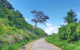 Vẻ đẹp ngút ngàn hoang sơ ở đảo Nam Du