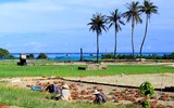 Khám phá vẻ đẹp tiềm ẩn ở Lý Sơn