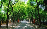Những khoảng xanh hạ nhiệt giữa mùa hè Hà Nội