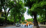 Những khoảng xanh hạ nhiệt giữa mùa hè Hà Nội