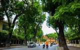 Những khoảng xanh hạ nhiệt giữa mùa hè Hà Nội