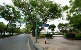Những khoảng xanh hạ nhiệt giữa mùa hè Hà Nội