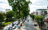 Những khoảng xanh hạ nhiệt giữa mùa hè Hà Nội