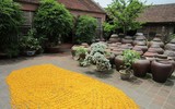 Đường Lâm ngôi làng lưu giữ 900 ngôi nhà cổ