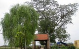 Đường Lâm ngôi làng lưu giữ 900 ngôi nhà cổ