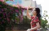 Hà Nội dịu dàng mùa hoa giấy khoe sắc