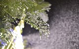 Ngắm nhìn tuyết rơi ở Hà Nội