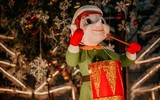 Ngắm nhìn tuyết rơi ở Hà Nội