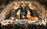 Ngắm nhìn tuyết rơi ở Hà Nội