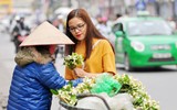 Hoa bưởi xuống phố