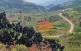 Thắp sáng cao nguyên đá bằng một màu hoa gạo