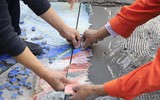 Những tác phẩm nghệ thuật trên đường phố