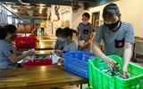 Trường học ở Hà Nội sẵn sàng đón học sinh