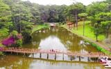 Những điểm đến không thể bỏ qua ở Đà Lạt
