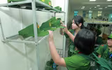 Học làm chiến sĩ Công an