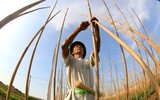 Người lao động nhọc nhằn mưu sinh giữa nắng nóng