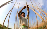 Người lao động nhọc nhằn mưu sinh giữa nắng nóng