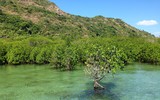 Khám phá mũi Tàu Bể bí ẩn ở Côn Đảo