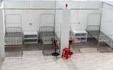 Bệnh viện dã chiến chống dịch Covid-19 tại Đà Nẵng hoàn thành thần tốc trong 3 ngày rưỡi