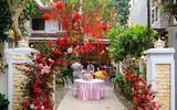 Đông Nhi - Ông Cao Thắng cười 