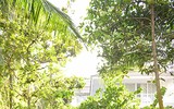Siêu mẫu Xuân Lan bất ngờ lên xe hoa vào ngày đầu năm mới 2020
