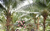 Siêu mẫu Xuân Lan bất ngờ lên xe hoa vào ngày đầu năm mới 2020