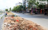 Hà Nội: Nắng nóng, rác thải sinh hoạt đổ đống bốc mùi trên đường Vũ Tông Phan 