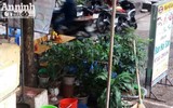Cận cảnh các sân chơi trẻ em bị người lớn 