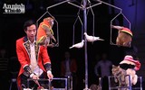 Mạo hiểm, kịch tính với những tiết mục xiếc quốc tế