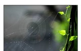 Sắc màu cuộc sống qua những góc ảnh của cựu học sinh PTTH Hà Nội