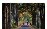 Sắc màu cuộc sống qua những góc ảnh của cựu học sinh PTTH Hà Nội