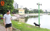 Chó thả rông ở Hà Nội, chủ nuôi sẽ bị phạt