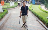 Chó thả rông ở Hà Nội, chủ nuôi sẽ bị phạt