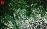 Điểm đến không thể bỏ qua của giới trẻ Hà Nội trong mùa Noel