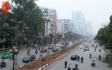 Hà Nội: Hàng cây phong lá đỏ được trồng trên đường Trần Duy Hưng