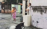 [ẢNH] Chó ngao Tây Tạng - mối đe dọa chết người khoác áo 