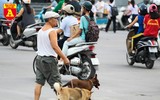 Hà Nội: Báo động tình trạng chó thả rông bất chấp nhiều tai nạn chết người