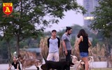 Hà Nội: Báo động tình trạng chó thả rông bất chấp nhiều tai nạn chết người
