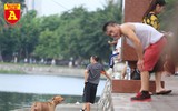 Hà Nội: Báo động tình trạng chó thả rông bất chấp nhiều tai nạn chết người