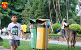 Hà Nội: Báo động tình trạng chó thả rông bất chấp nhiều tai nạn chết người