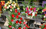 Chợ hoa Nhật Tân tấp nập những ngày cuối năm