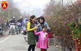 Chợ hoa Nhật Tân tấp nập những ngày cuối năm