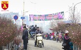 Chợ hoa Nhật Tân tấp nập những ngày cuối năm