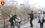 Chợ hoa Nhật Tân tấp nập những ngày cuối năm