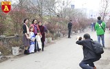 Chợ hoa Nhật Tân tấp nập những ngày cuối năm