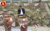 Chợ hoa Nhật Tân tấp nập những ngày cuối năm