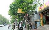 Phường Khương Đình quyết liệt xử lý vi phạm về trật tự đô thị