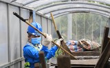 Cải thiện môi trường nhờ 